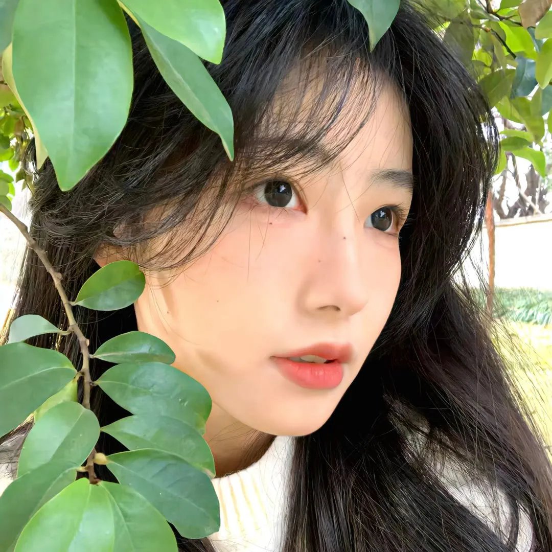 复仇之城
